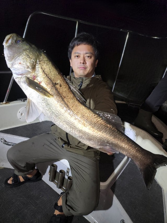 シーバス(スズキ)