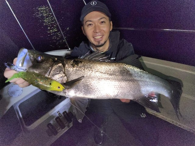 シーバス(スズキ)