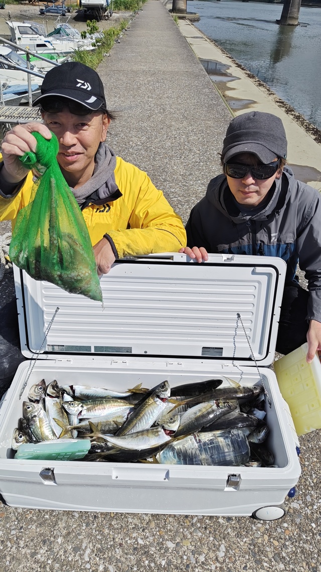 アジ(マアジ)・マダコ