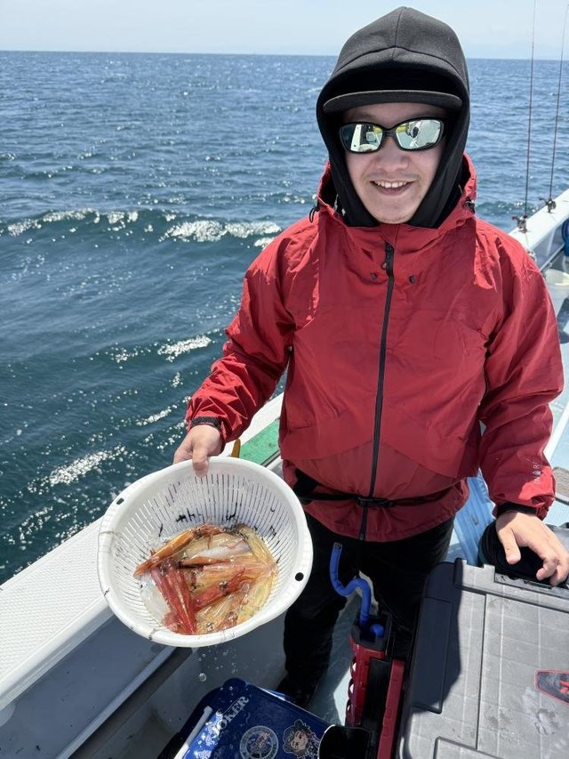 マルイカ(ケンサキイカ)