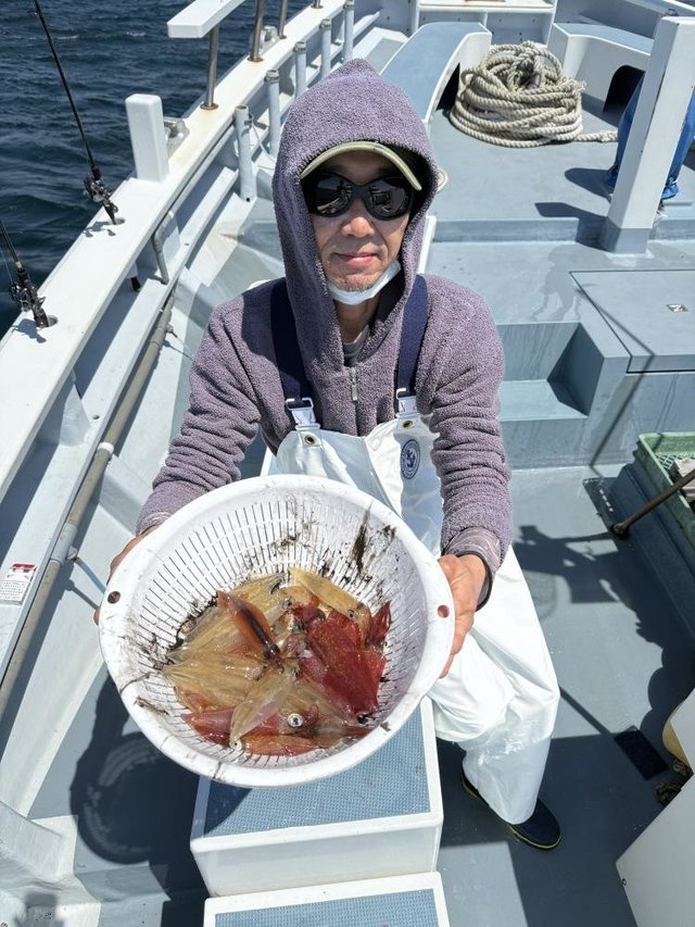 マルイカ(ケンサキイカ)