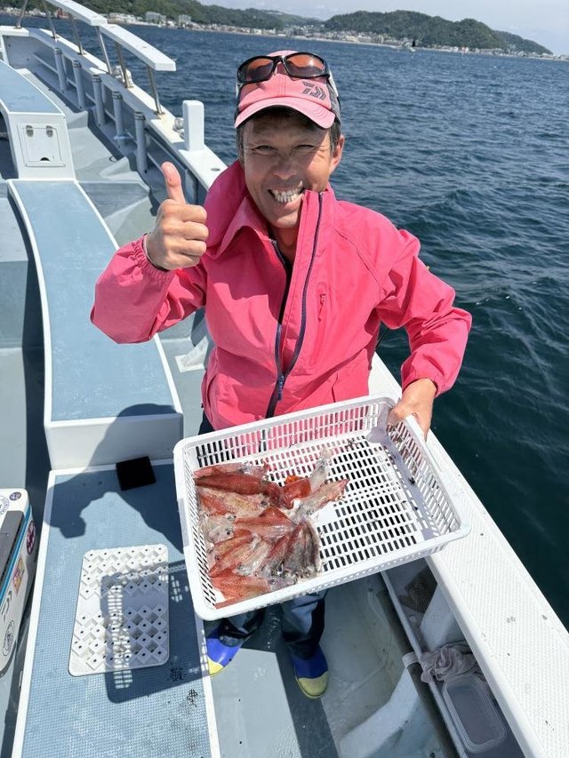 マルイカ(ケンサキイカ)