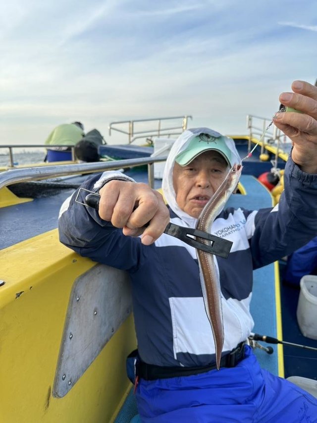 アナゴ(マアナゴ)