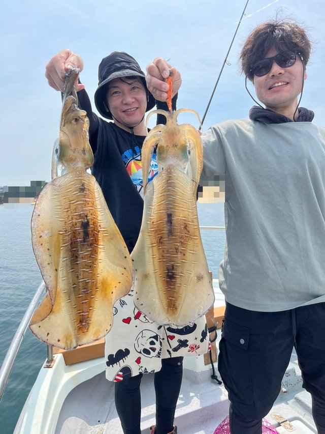 イカ(アオリイカ)