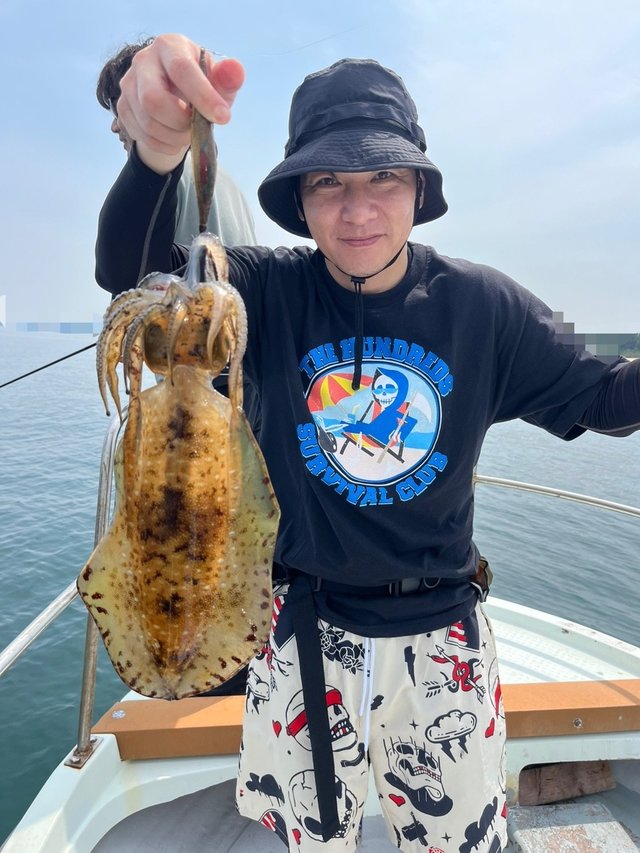 イカ(アオリイカ)