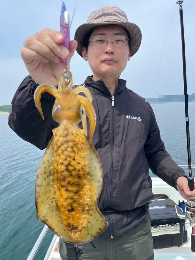 イカ(アオリイカ)