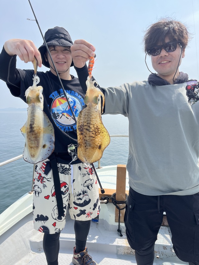 イカ(アオリイカ)