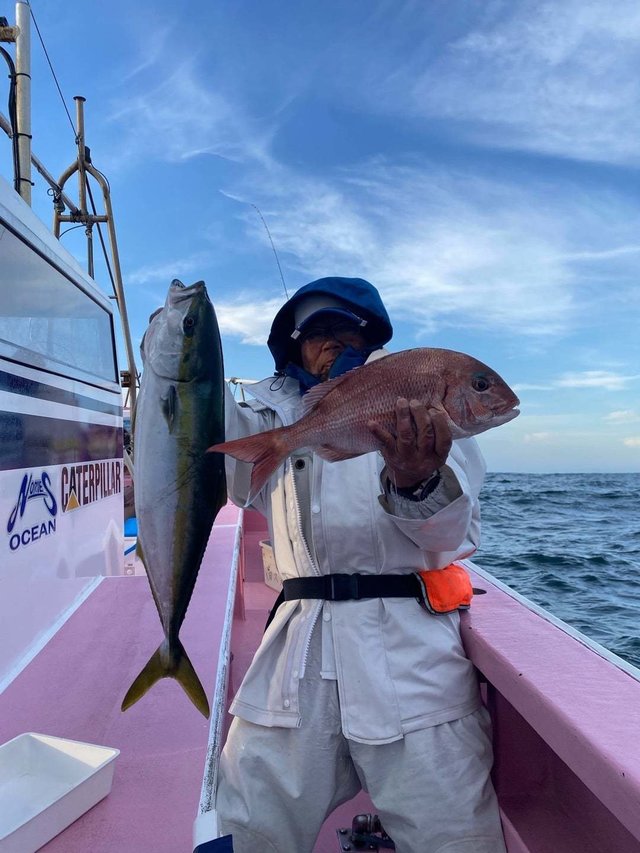 マダイ・サンパク(ブリ)