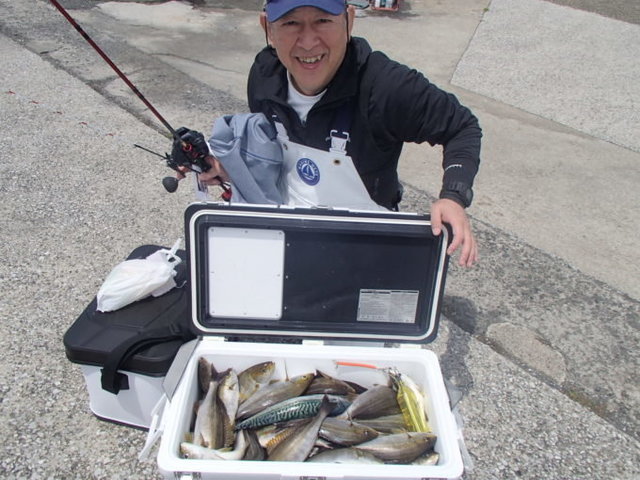 イサキ・サバ(ゴマサバ)