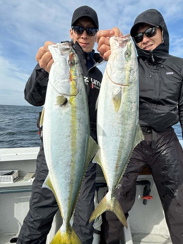 サンパク(ブリ)