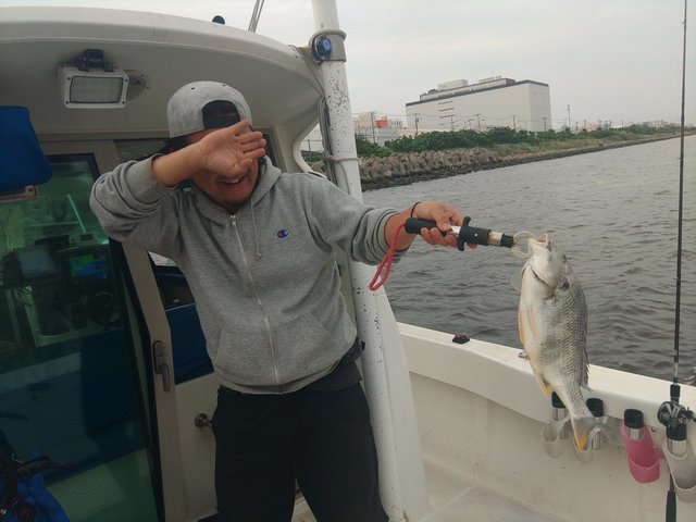 キビレ(キチヌ)