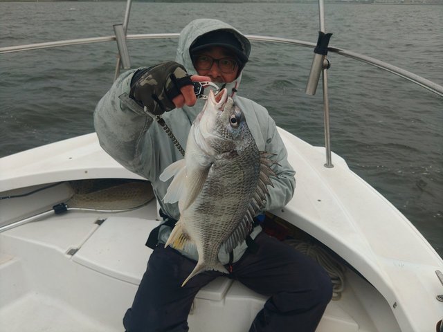 キビレ(キチヌ)