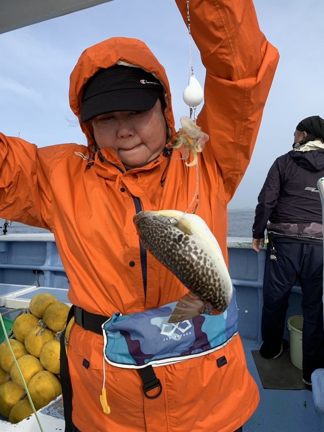 ショウサイフグ