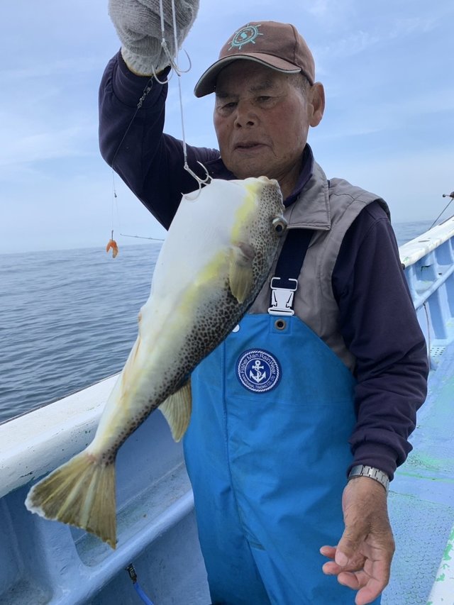 ショウサイフグ