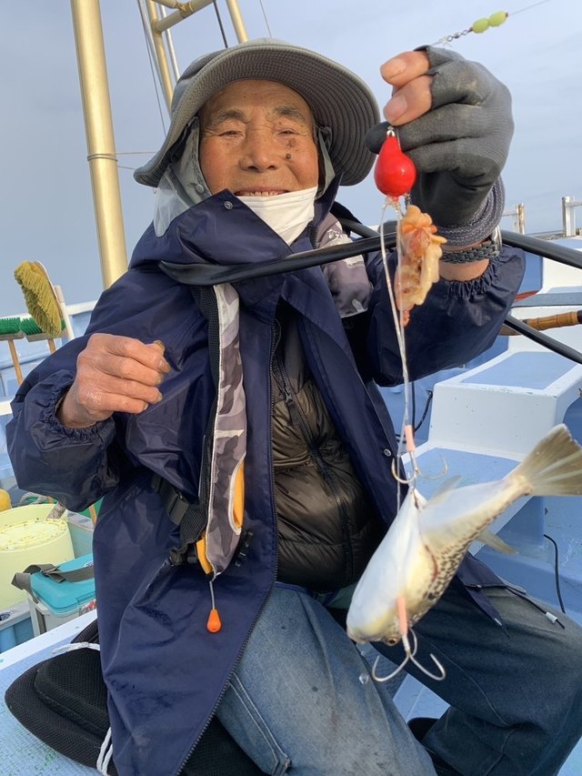 ショウサイフグ