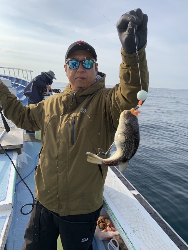 ショウサイフグ