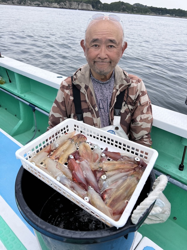 マルイカ(ケンサキイカ)