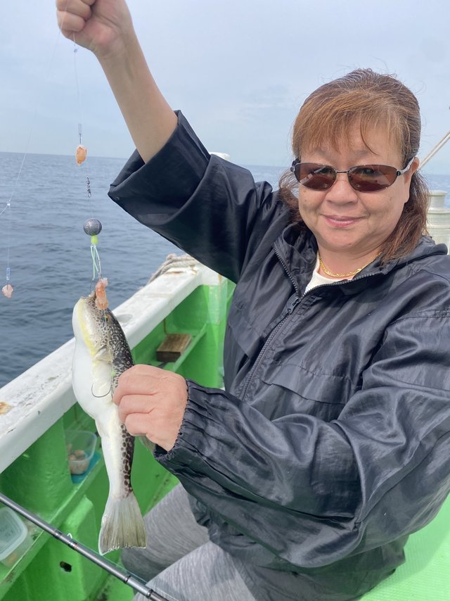 フグ(ショウサイフグ)