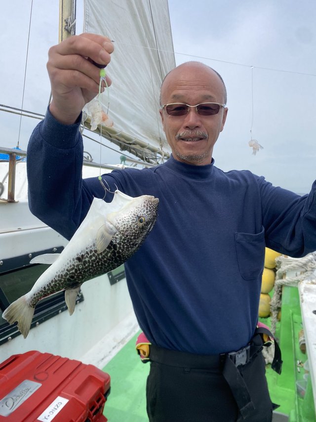 フグ(ショウサイフグ)