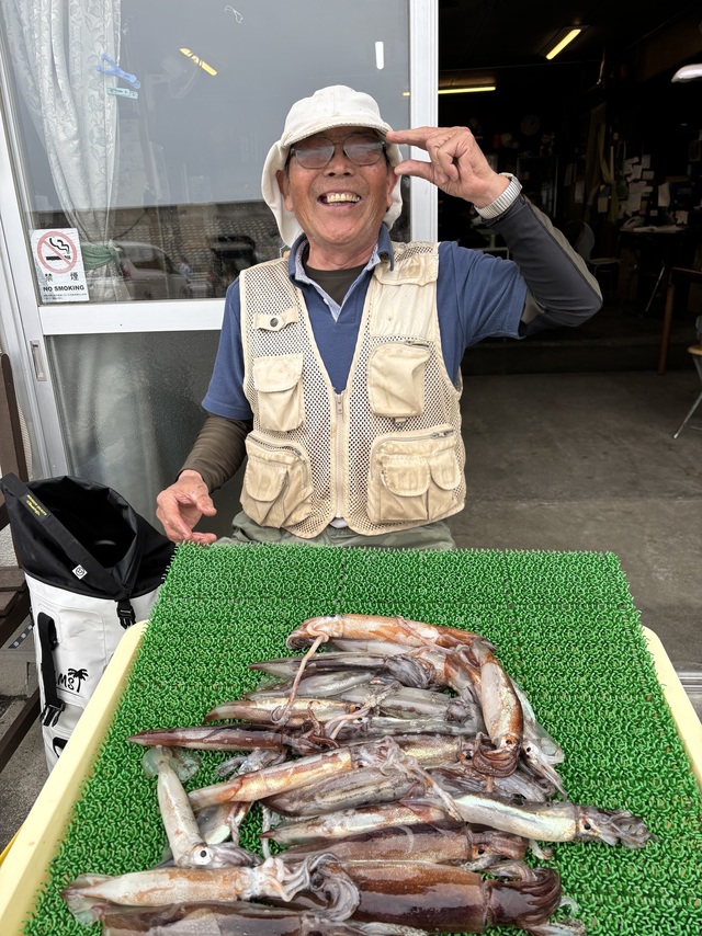 ムギイカ(スルメイカ)