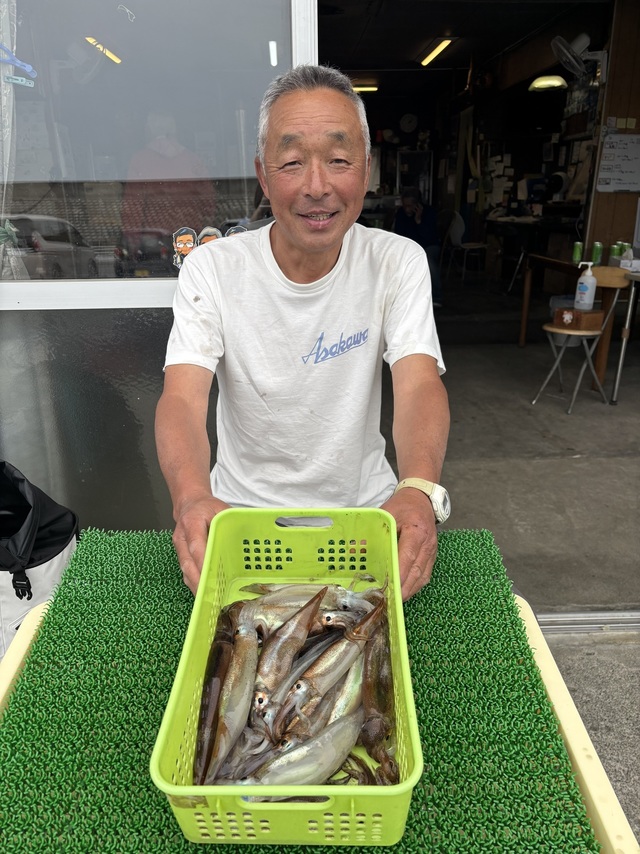 ムギイカ(スルメイカ)