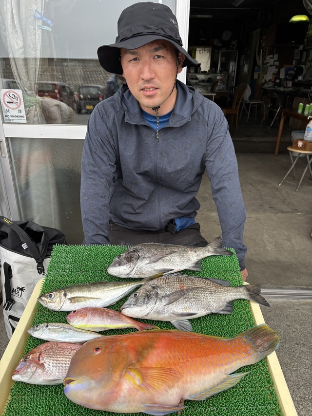 アジ(マアジ)・イラ