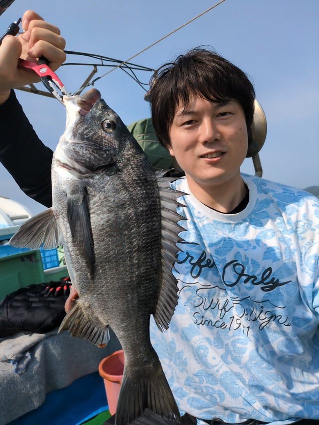 チヌ(クロダイ)