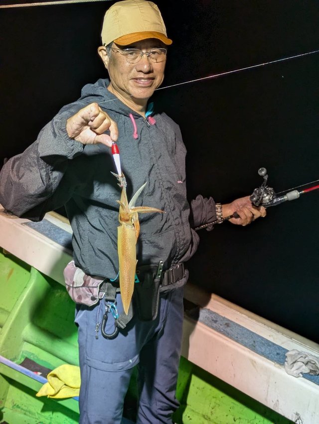 イカ(ヤリイカ)