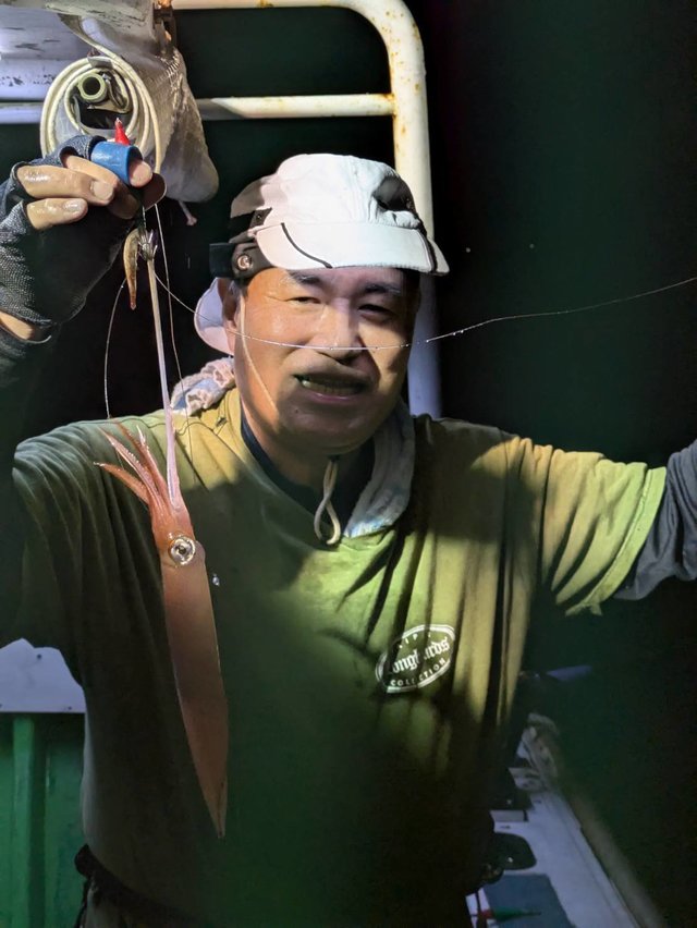 イカ(ヤリイカ)