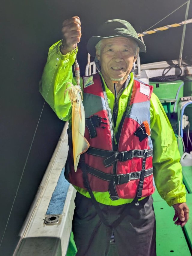 イカ(ヤリイカ)