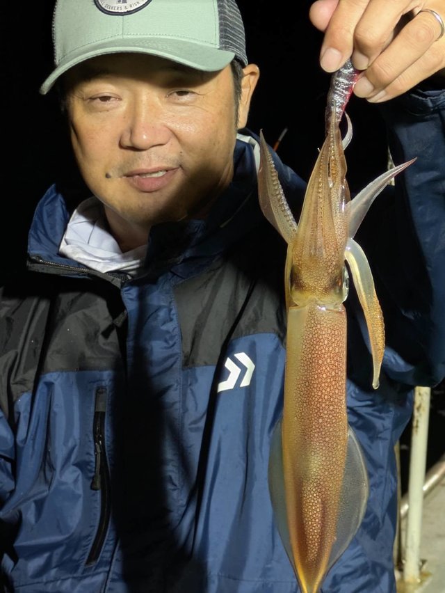 イカ(ヤリイカ)