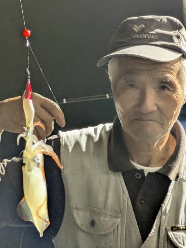 イカ(ヤリイカ)