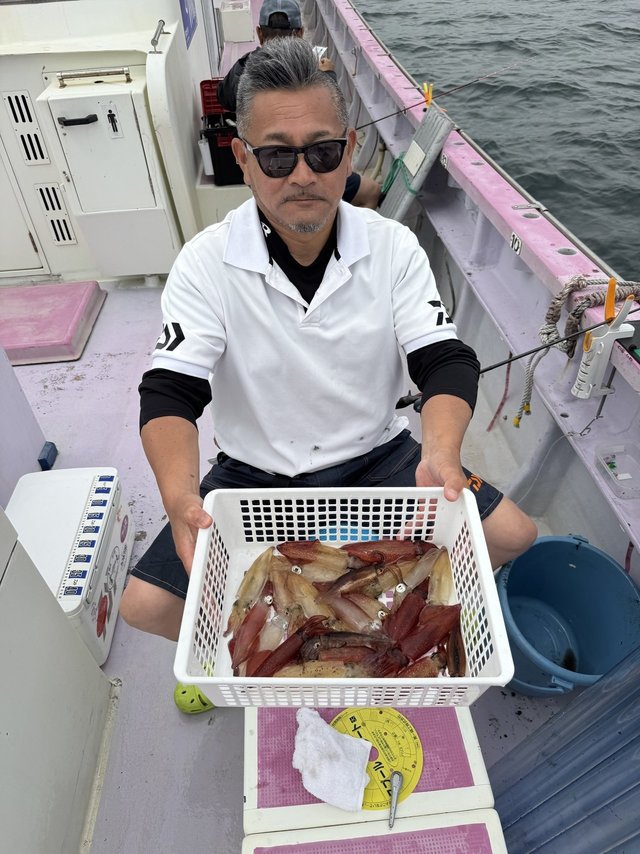 マルイカ(ケンサキイカ)