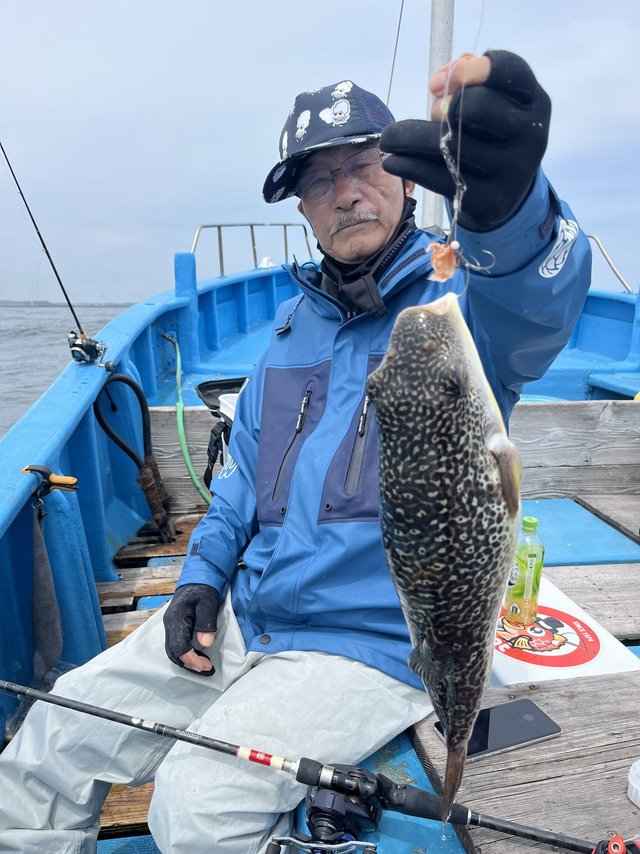 フグ(ショウサイフグ)