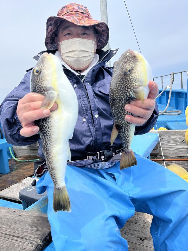 フグ(ショウサイフグ)