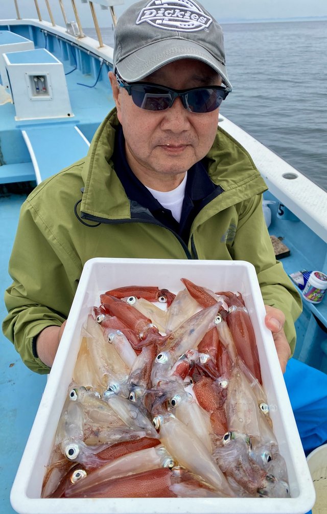 マルイカ(ケンサキイカ)