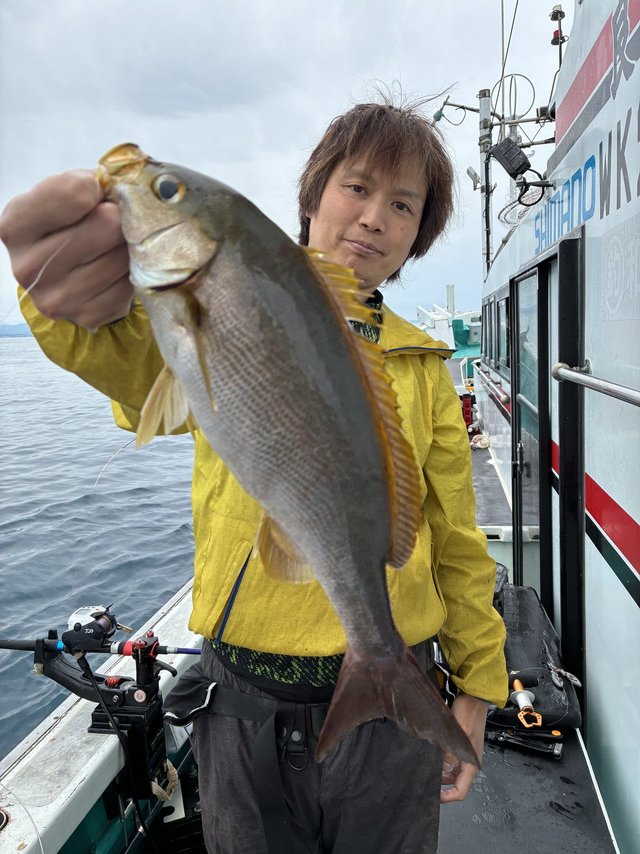 イサギ(イサキ)