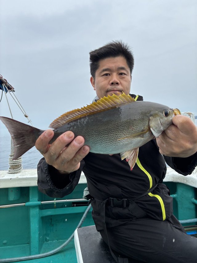 イサギ(イサキ)