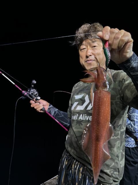 マイカ(ケンサキイカ)