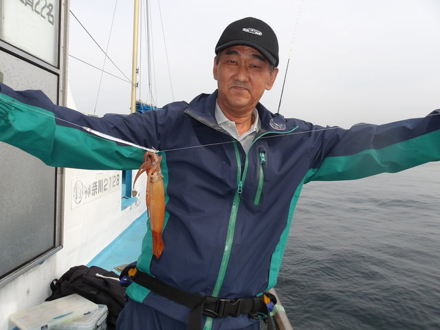 ムギイカ(スルメイカ)