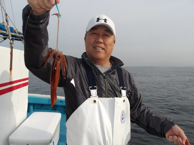 ムギイカ(スルメイカ)