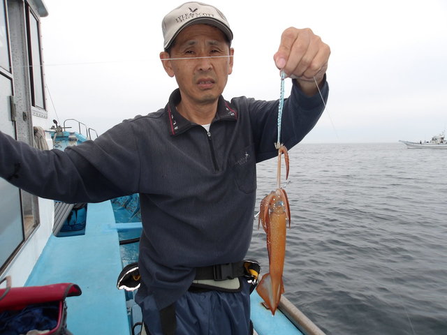 ムギイカ(スルメイカ)