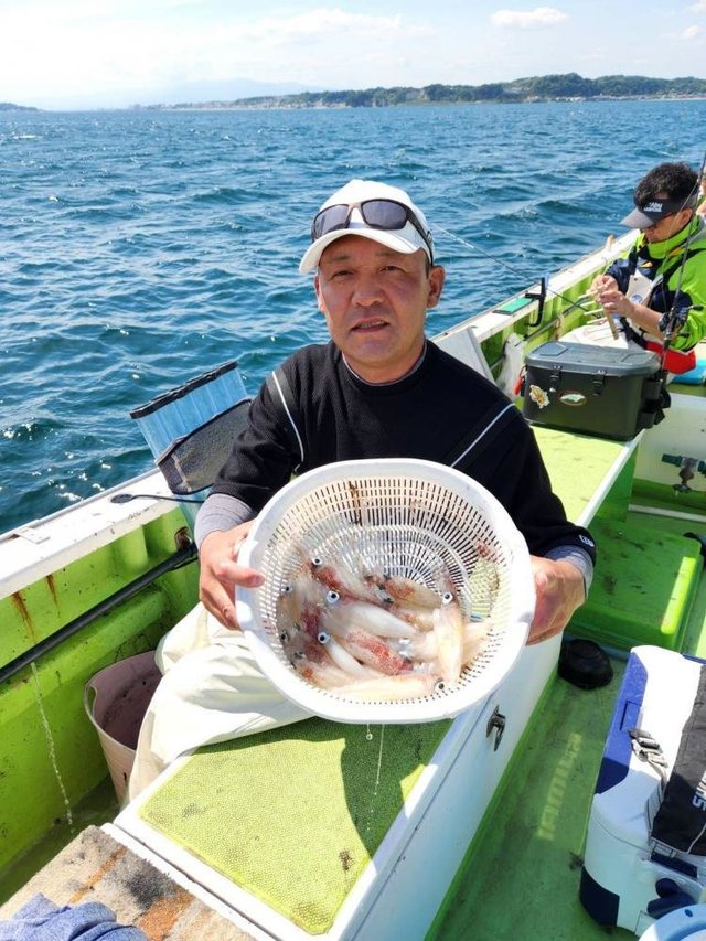 マルイカ(ケンサキイカ)