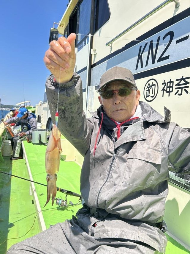 マルイカ(ケンサキイカ)