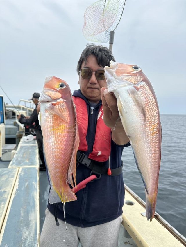 アマダイ(アカアマダイ)