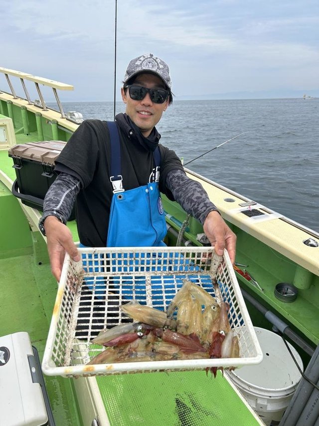 マルイカ(ケンサキイカ)