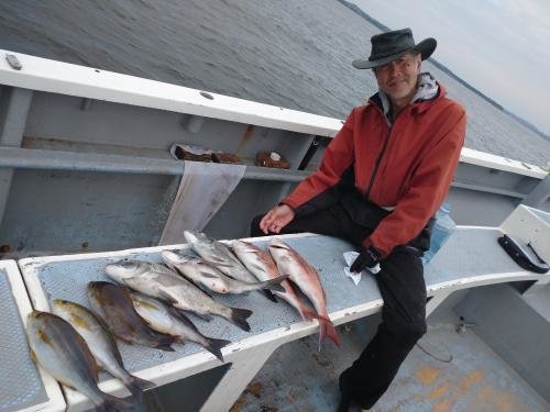 マダイ・クロダイ・イサキ