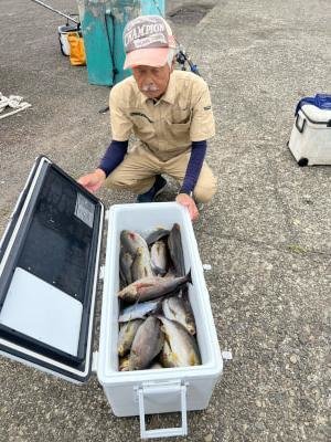 イサギ(イサキ)