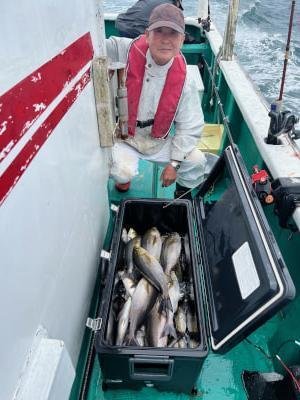 イサギ(イサキ)