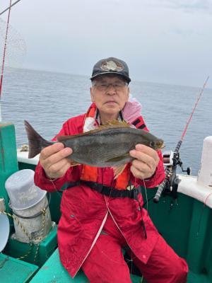 イサギ(イサキ)